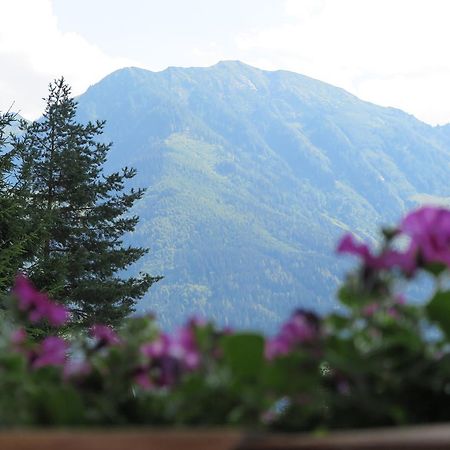 Apartmán Haus Enzian Sankt Johann im Pongau Exteriér fotografie