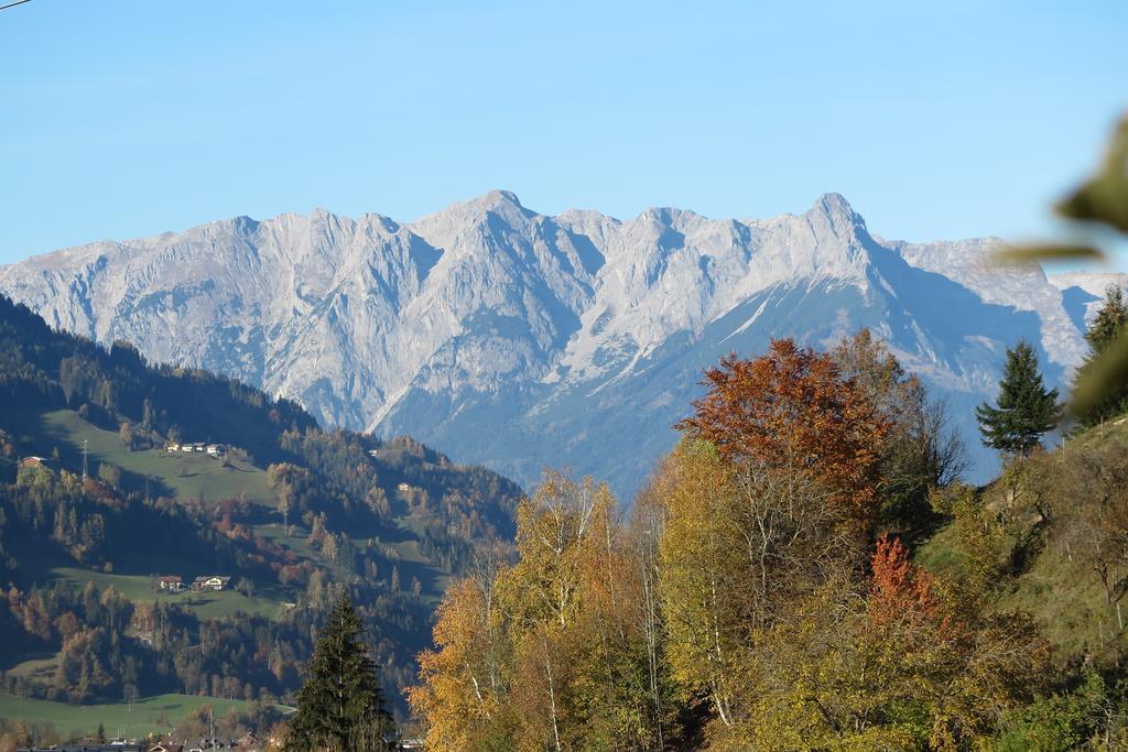 Apartmán Haus Enzian Sankt Johann im Pongau Exteriér fotografie