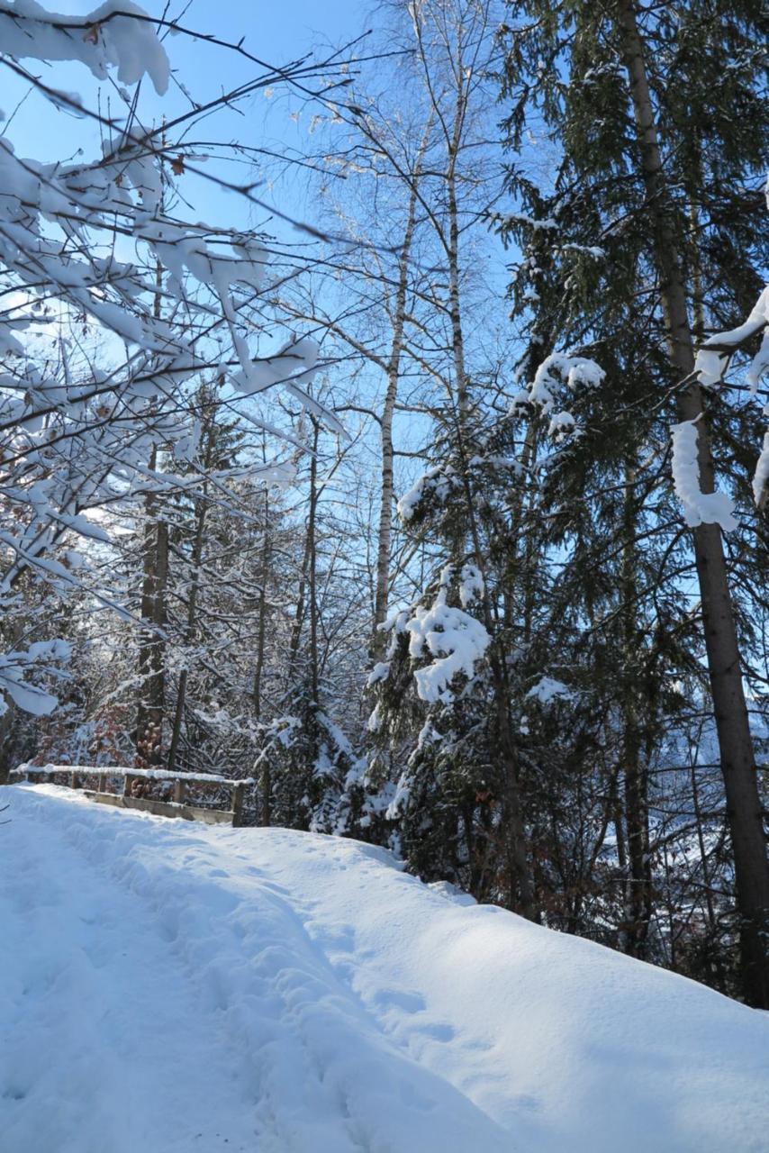 Apartmán Haus Enzian Sankt Johann im Pongau Exteriér fotografie