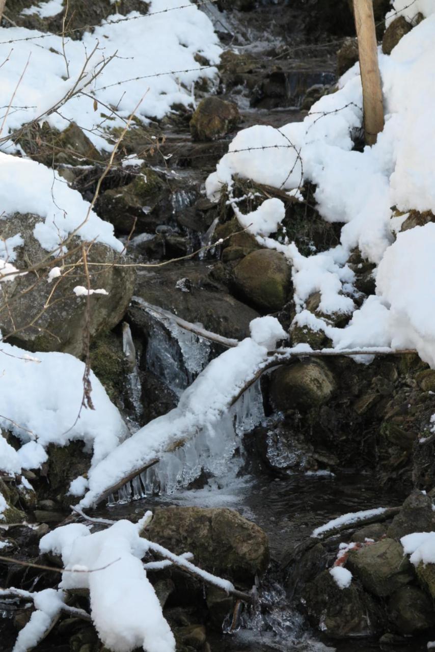 Apartmán Haus Enzian Sankt Johann im Pongau Exteriér fotografie