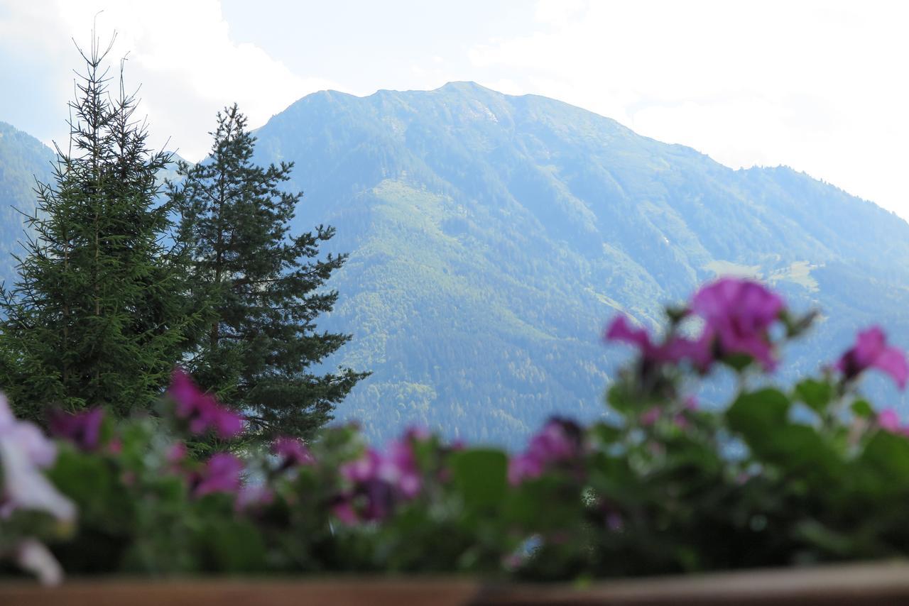 Apartmán Haus Enzian Sankt Johann im Pongau Exteriér fotografie