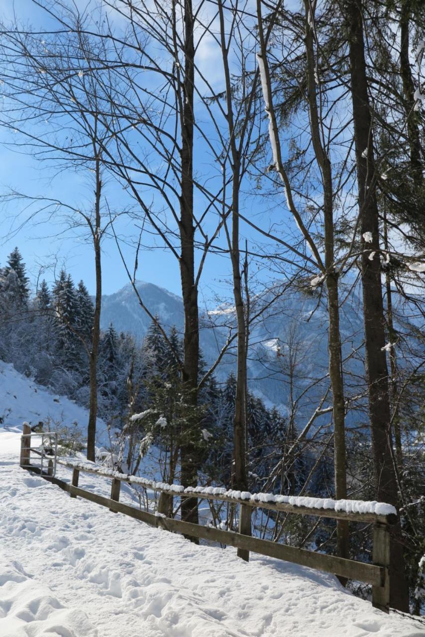 Apartmán Haus Enzian Sankt Johann im Pongau Exteriér fotografie