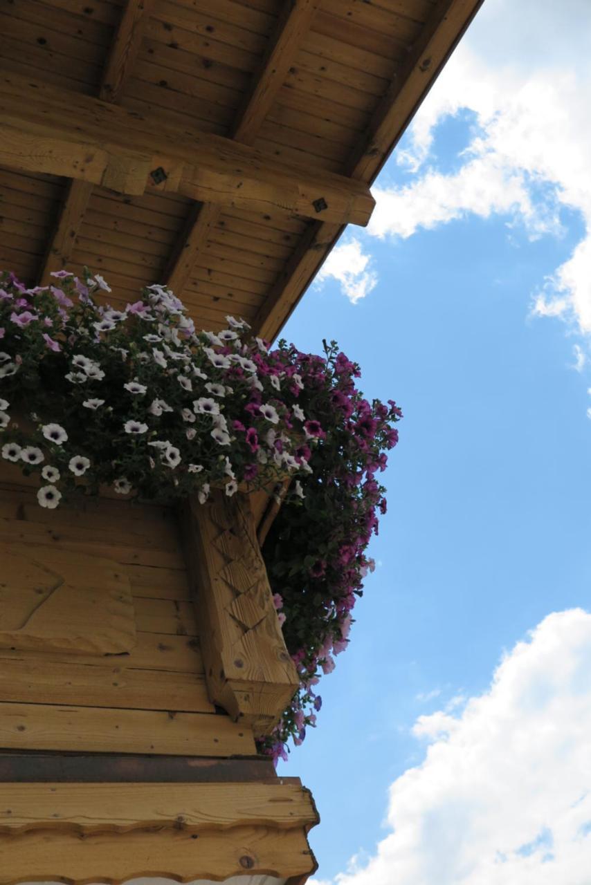Apartmán Haus Enzian Sankt Johann im Pongau Exteriér fotografie