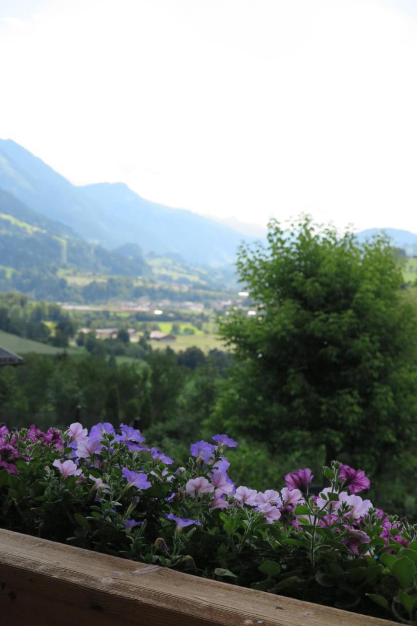 Apartmán Haus Enzian Sankt Johann im Pongau Exteriér fotografie